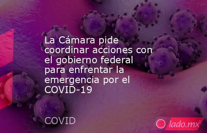 La Cámara pide coordinar acciones con el gobierno federal para enfrentar la emergencia por el COVID-19. Noticias en tiempo real