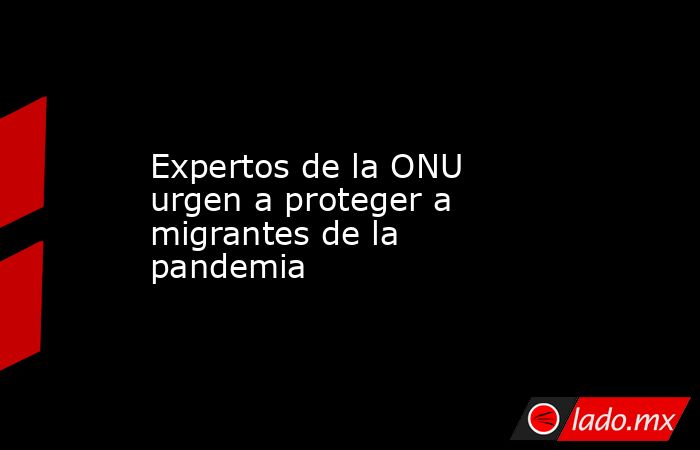 Expertos de la ONU urgen a proteger a migrantes de la pandemia. Noticias en tiempo real