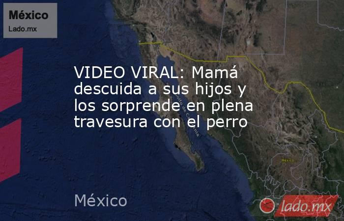 VIDEO VIRAL: Mamá descuida a sus hijos y los sorprende en plena travesura con el perro. Noticias en tiempo real
