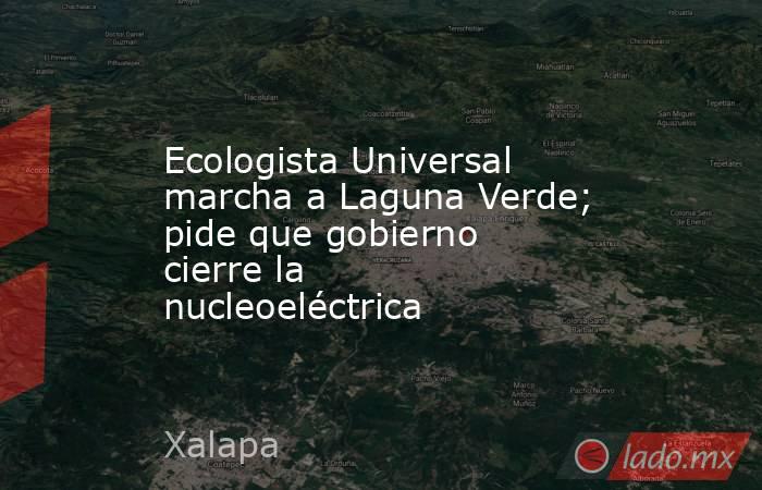 Ecologista Universal marcha a Laguna Verde; pide que gobierno cierre la nucleoeléctrica. Noticias en tiempo real
