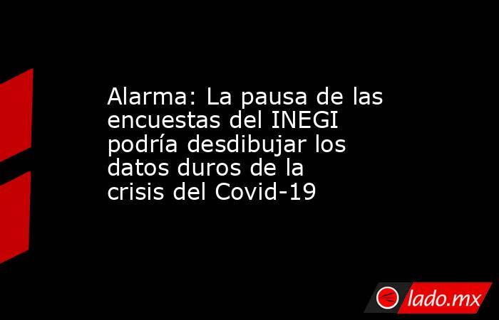 Alarma: La pausa de las encuestas del INEGI podría desdibujar los datos duros de la crisis del Covid-19. Noticias en tiempo real