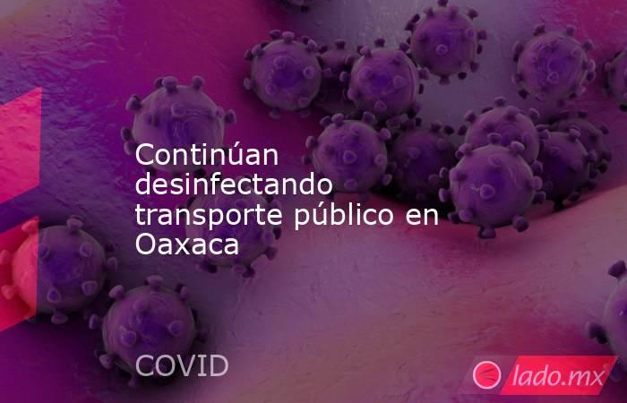 Continúan desinfectando transporte público en Oaxaca. Noticias en tiempo real