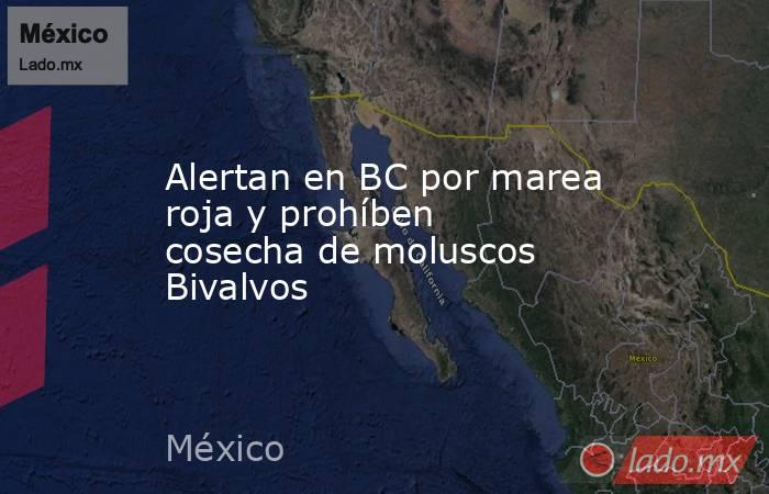 Alertan en BC por marea roja y prohíben cosecha de moluscos Bivalvos. Noticias en tiempo real