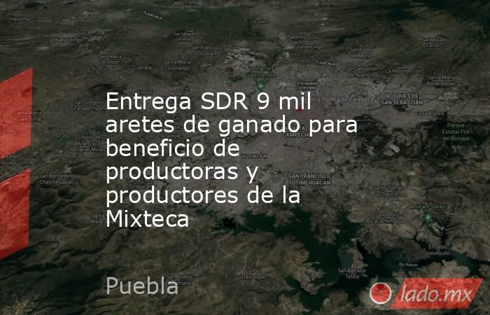 Entrega SDR 9 mil aretes de ganado para beneficio de productoras y productores de la Mixteca. Noticias en tiempo real