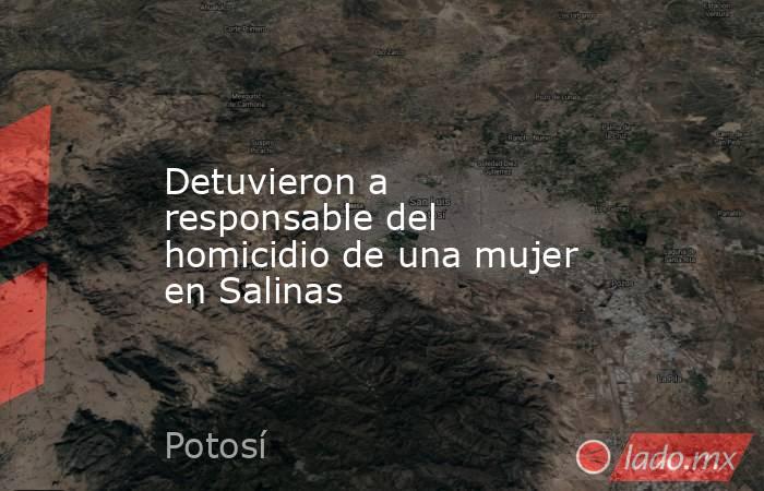 Detuvieron a responsable del homicidio de una mujer en Salinas. Noticias en tiempo real