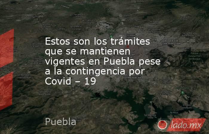 Estos son los trámites que se mantienen vigentes en Puebla pese a la contingencia por Covid – 19. Noticias en tiempo real