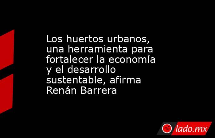 Los huertos urbanos, una herramienta para fortalecer la economía y el desarrollo sustentable, afirma Renán Barrera. Noticias en tiempo real