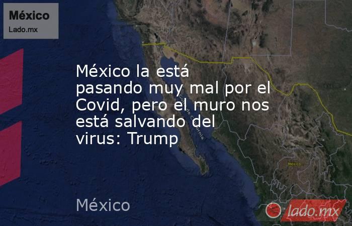 México la está pasando muy mal por el Covid, pero el muro nos está salvando del virus: Trump. Noticias en tiempo real