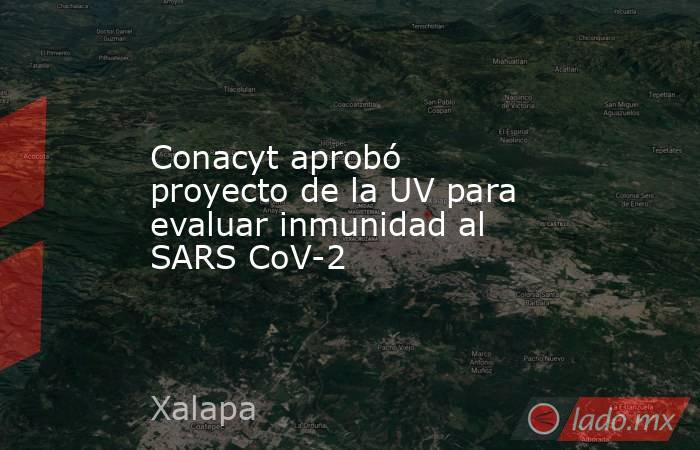 Conacyt aprobó proyecto de la UV para evaluar inmunidad al SARS CoV-2  . Noticias en tiempo real