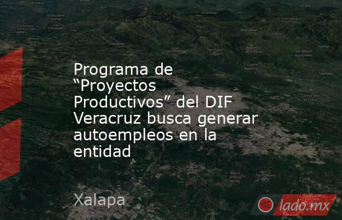 Programa de “Proyectos Productivos” del DIF Veracruz busca generar autoempleos en la entidad. Noticias en tiempo real