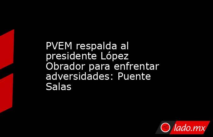 PVEM respalda al presidente López Obrador para enfrentar adversidades: Puente Salas. Noticias en tiempo real