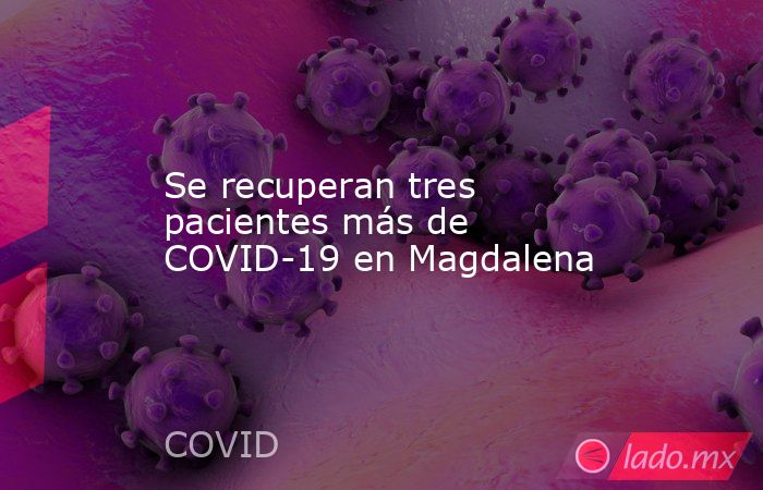 Se recuperan tres pacientes más de COVID-19 en Magdalena. Noticias en tiempo real