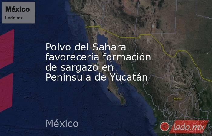 Polvo del Sahara favorecería formación de sargazo en Península de Yucatán. Noticias en tiempo real