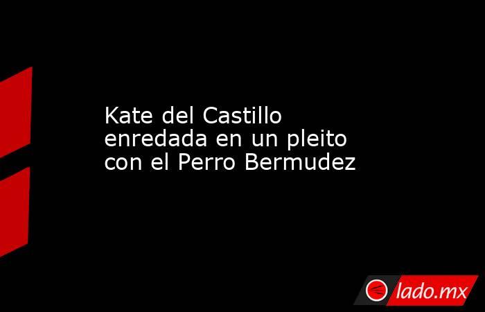 Kate del Castillo enredada en un pleito con el Perro Bermudez . Noticias en tiempo real