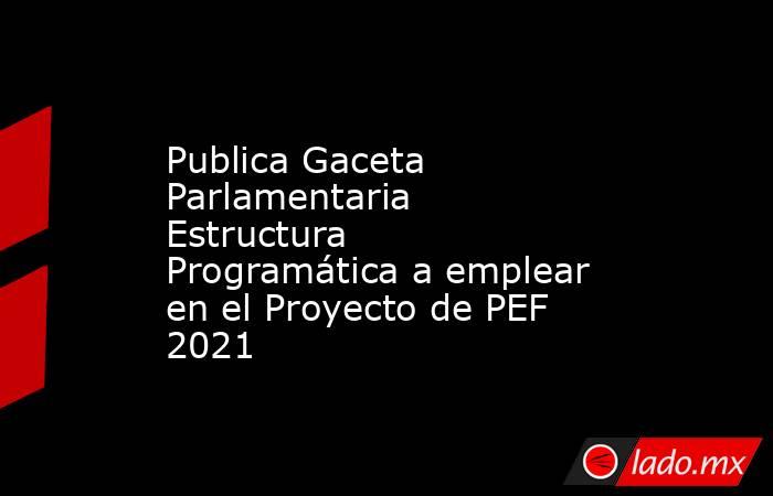 Publica Gaceta Parlamentaria Estructura Programática a emplear en el Proyecto de PEF 2021. Noticias en tiempo real