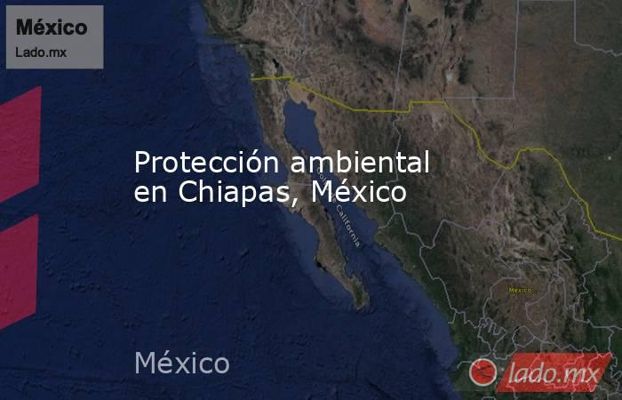Protección ambiental en Chiapas, México. Noticias en tiempo real