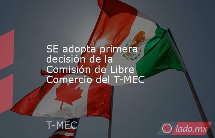 SE adopta primera decisión de la Comisión de Libre Comercio del T-MEC. Noticias en tiempo real