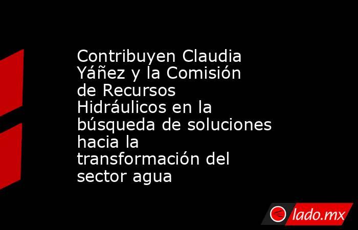 Contribuyen Claudia Yáñez y la Comisión de Recursos Hidráulicos en la búsqueda de soluciones hacia la transformación del sector agua. Noticias en tiempo real