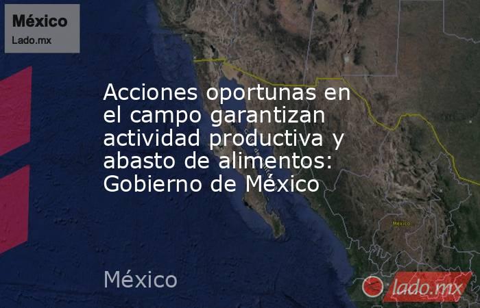 Acciones oportunas en el campo garantizan actividad productiva y abasto de alimentos: Gobierno de México. Noticias en tiempo real