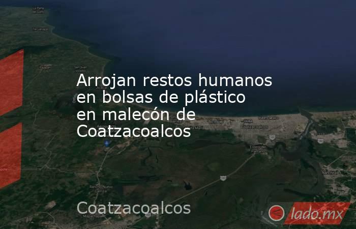 Arrojan restos humanos en bolsas de plástico en malecón de Coatzacoalcos. Noticias en tiempo real