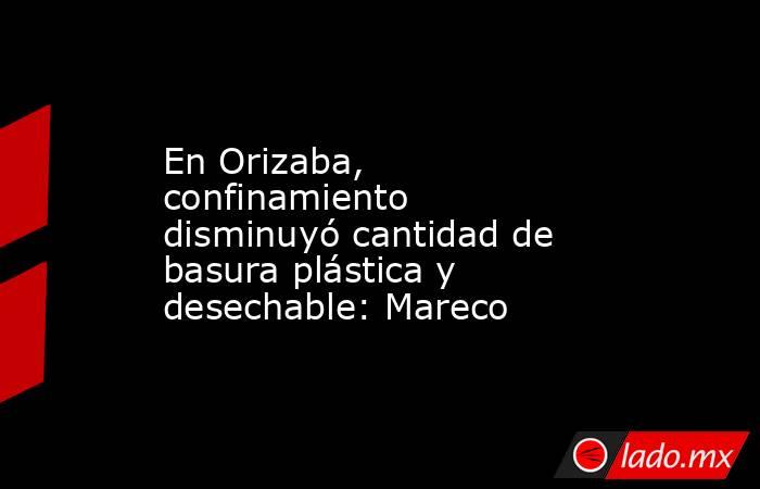 En Orizaba, confinamiento disminuyó cantidad de basura plástica y desechable: Mareco. Noticias en tiempo real