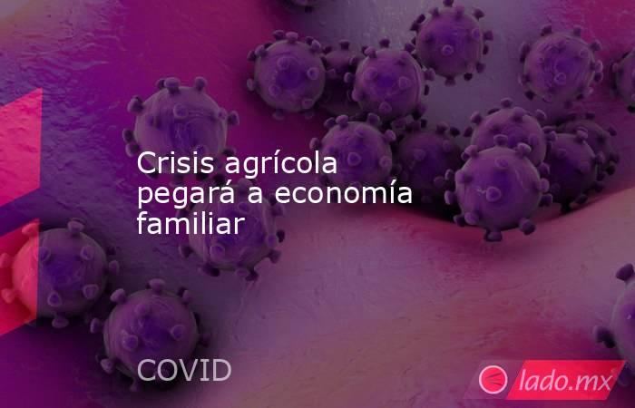 Crisis agrícola pegará a economía familiar. Noticias en tiempo real
