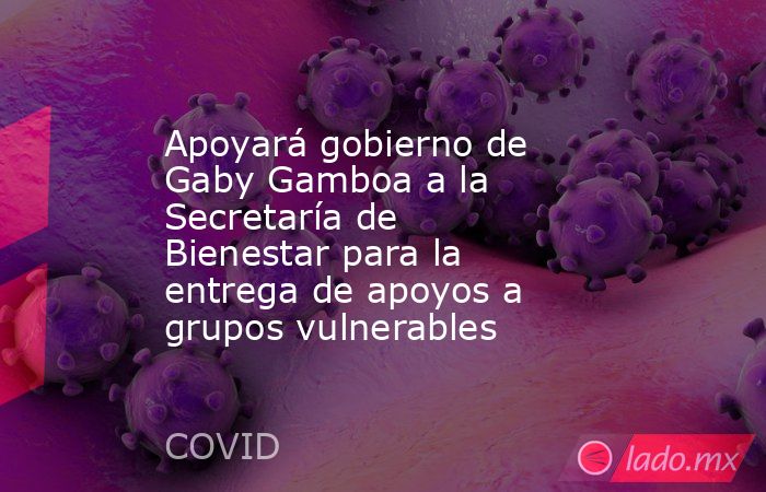Apoyará gobierno de Gaby Gamboa a la Secretaría de Bienestar para la entrega de apoyos a grupos vulnerables. Noticias en tiempo real