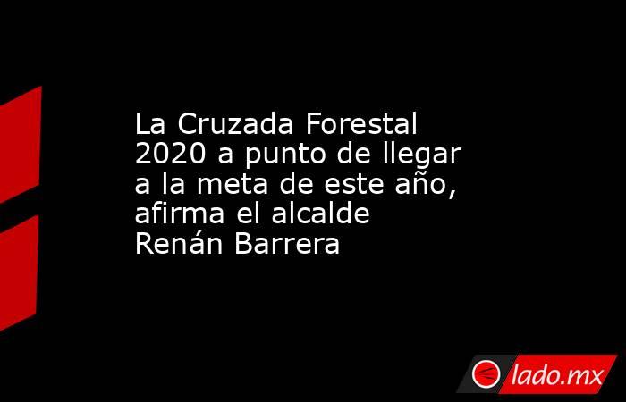 La Cruzada Forestal 2020 a punto de llegar a la meta de este año, afirma el alcalde Renán Barrera. Noticias en tiempo real
