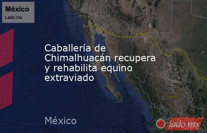 Caballería de Chimalhuacán recupera y rehabilita equino extraviado. Noticias en tiempo real