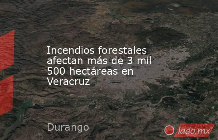 Incendios forestales afectan más de 3 mil 500 hectáreas en Veracruz. Noticias en tiempo real