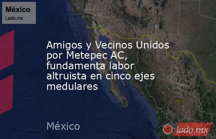 Amigos y Vecinos Unidos por Metepec AC, fundamenta labor altruista en cinco ejes medulares. Noticias en tiempo real