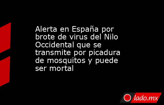 Alerta en España por brote de virus del Nilo Occidental que se transmite por picadura de mosquitos y puede ser mortal. Noticias en tiempo real