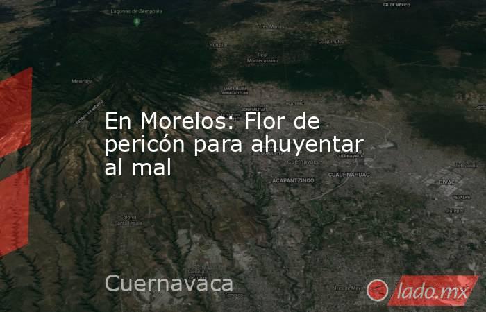 En Morelos: Flor de pericón para ahuyentar al mal . Noticias en tiempo real