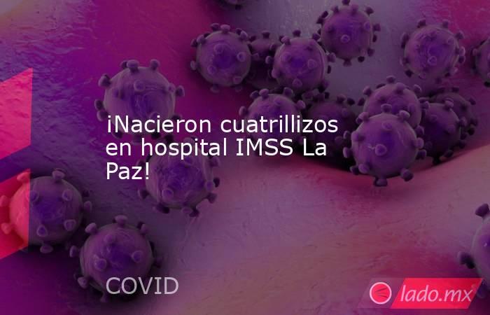 ¡Nacieron cuatrillizos en hospital IMSS La Paz!. Noticias en tiempo real