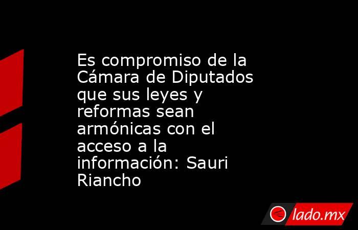 Es compromiso de la Cámara de Diputados que sus leyes y reformas sean armónicas con el acceso a la información: Sauri Riancho. Noticias en tiempo real