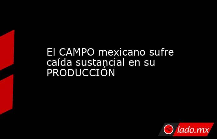 El CAMPO mexicano sufre caída sustancial en su PRODUCCIÓN. Noticias en tiempo real
