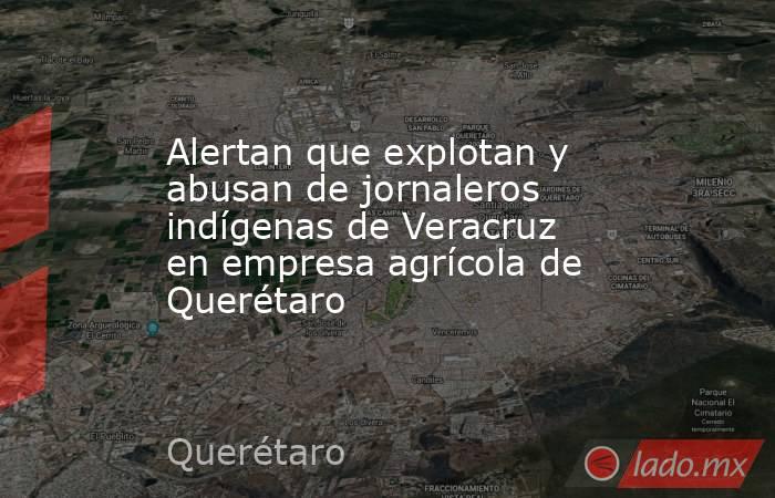 Alertan que explotan y abusan de jornaleros indígenas de Veracruz en empresa agrícola de Querétaro. Noticias en tiempo real