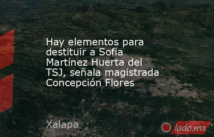 Hay elementos para destituir a Sofía Martínez Huerta del TSJ, señala magistrada Concepción Flores. Noticias en tiempo real