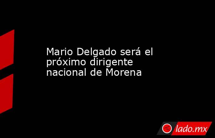 Mario Delgado será el próximo dirigente nacional de Morena. Noticias en tiempo real