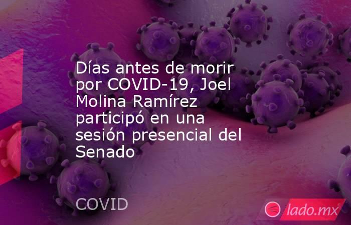Días antes de morir por COVID-19, Joel Molina Ramírez participó en una sesión presencial del Senado. Noticias en tiempo real