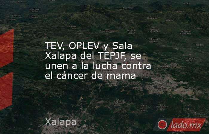TEV, OPLEV y Sala Xalapa del TEPJF, se unen a la lucha contra el cáncer de mama. Noticias en tiempo real