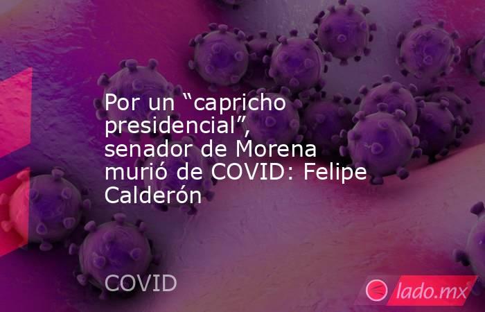 Por un “capricho presidencial”, senador de Morena murió de COVID: Felipe Calderón. Noticias en tiempo real