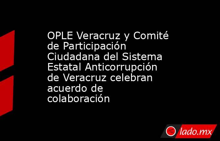 OPLE Veracruz y Comité de Participación Ciudadana del Sistema Estatal Anticorrupción de Veracruz celebran acuerdo de colaboración. Noticias en tiempo real