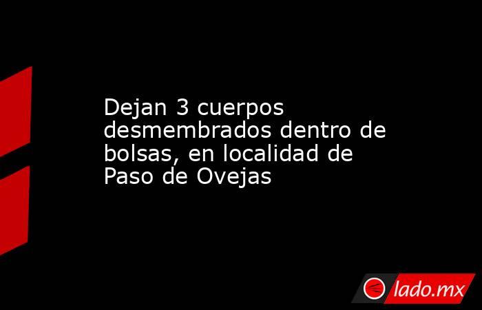 Dejan 3 cuerpos desmembrados dentro de bolsas, en localidad de Paso de Ovejas. Noticias en tiempo real