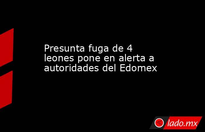 Presunta fuga de 4 leones pone en alerta a autoridades del Edomex. Noticias en tiempo real