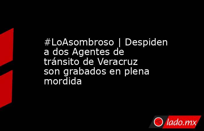 #LoAsombroso | Despiden a dos Agentes de tránsito de Veracruz son grabados en plena mordida. Noticias en tiempo real