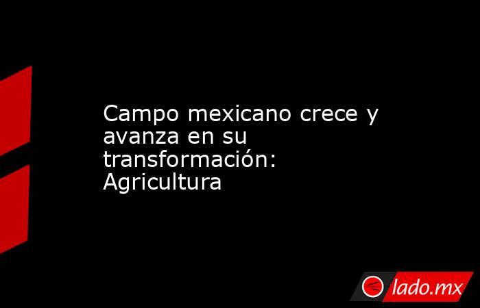 Campo mexicano crece y avanza en su transformación: Agricultura. Noticias en tiempo real