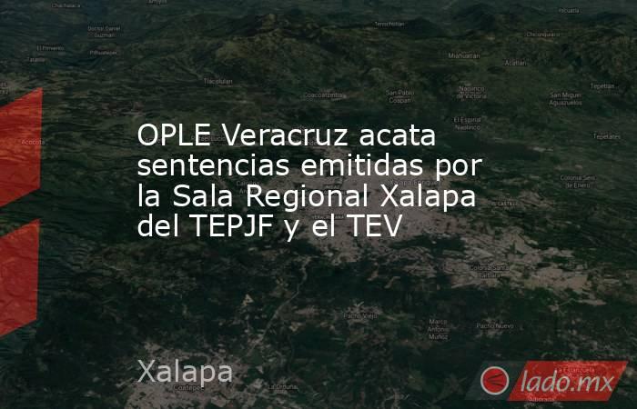 OPLE Veracruz acata sentencias emitidas por la Sala Regional Xalapa del TEPJF y el TEV. Noticias en tiempo real
