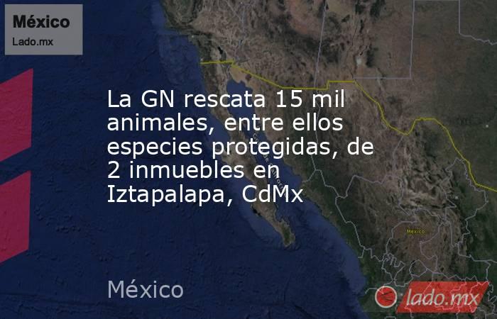 La GN rescata 15 mil animales, entre ellos especies protegidas, de 2 inmuebles en Iztapalapa, CdMx. Noticias en tiempo real