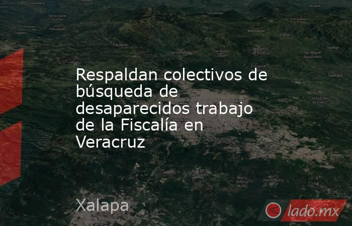 Respaldan colectivos de búsqueda de desaparecidos trabajo de la Fiscalía en Veracruz. Noticias en tiempo real